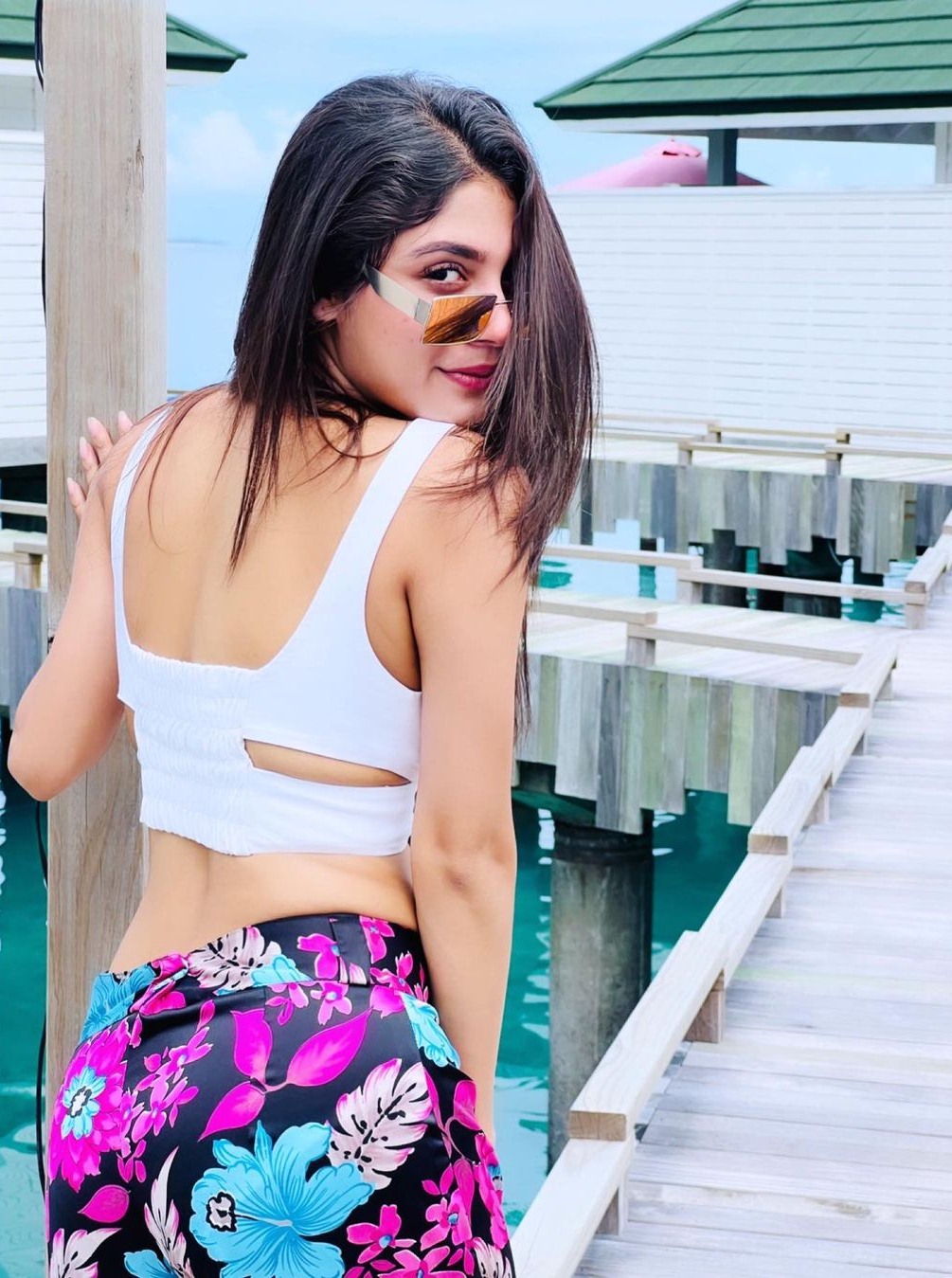 Adrija Roy wikipedia