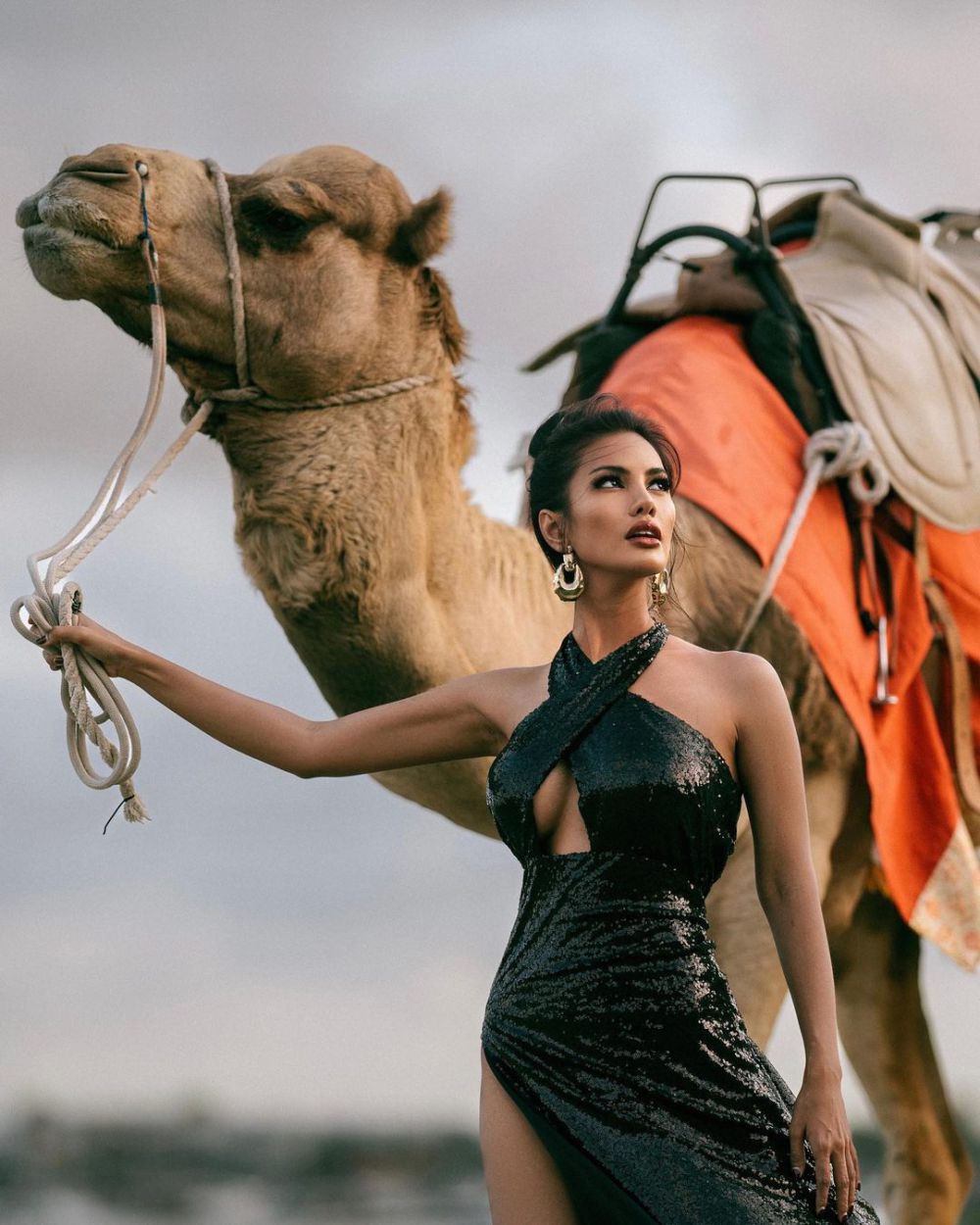 Vina Anggi Sitorus wiki